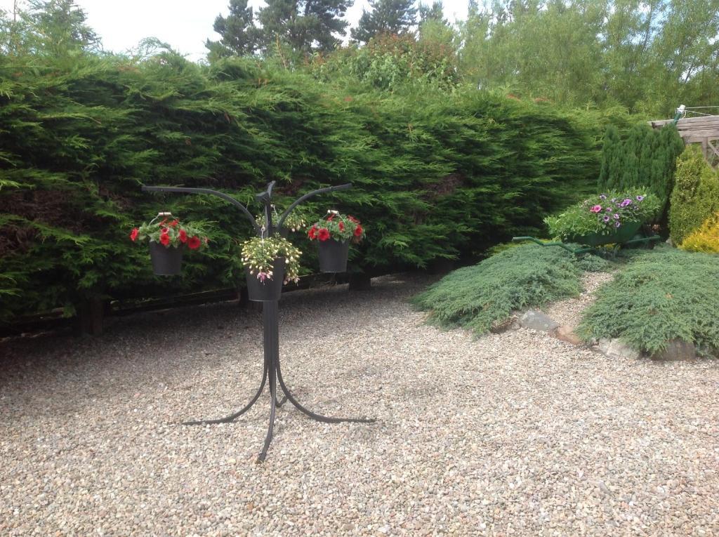 Dunroamin Bed And Breakfast Aviemore Pokoj fotografie